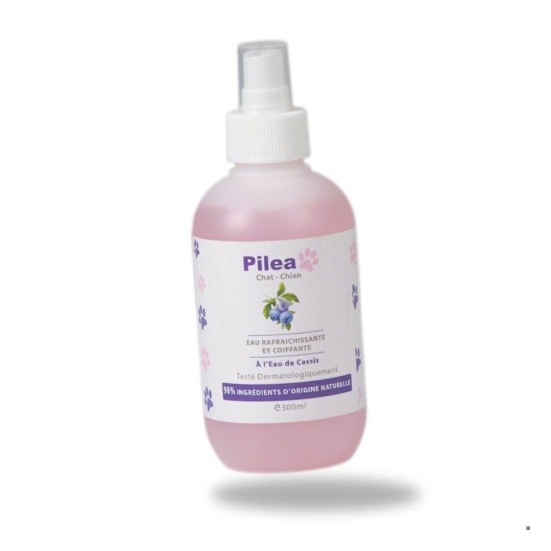 Pilea-Eau-coiffante-Rafraichissante-300ml-1.jpg
